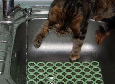 Прикрепленное изображение: 0004cr1.jpg